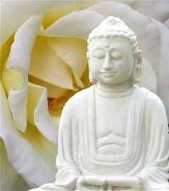 Buddha Statue Weiss